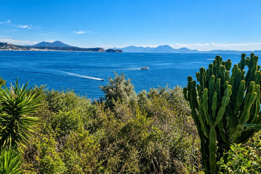 Phlegraean Fields Tour: Pozzuoli Amphitheater & Baths of Baia